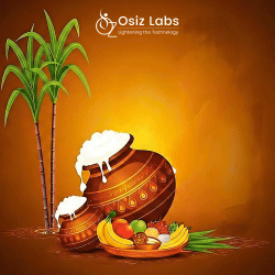 Career and Guidence Career and Guidence